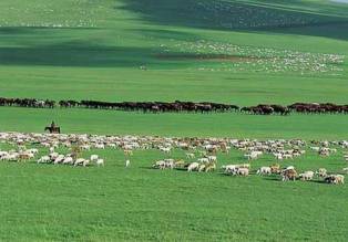 دامداری های سنتی در مازندران