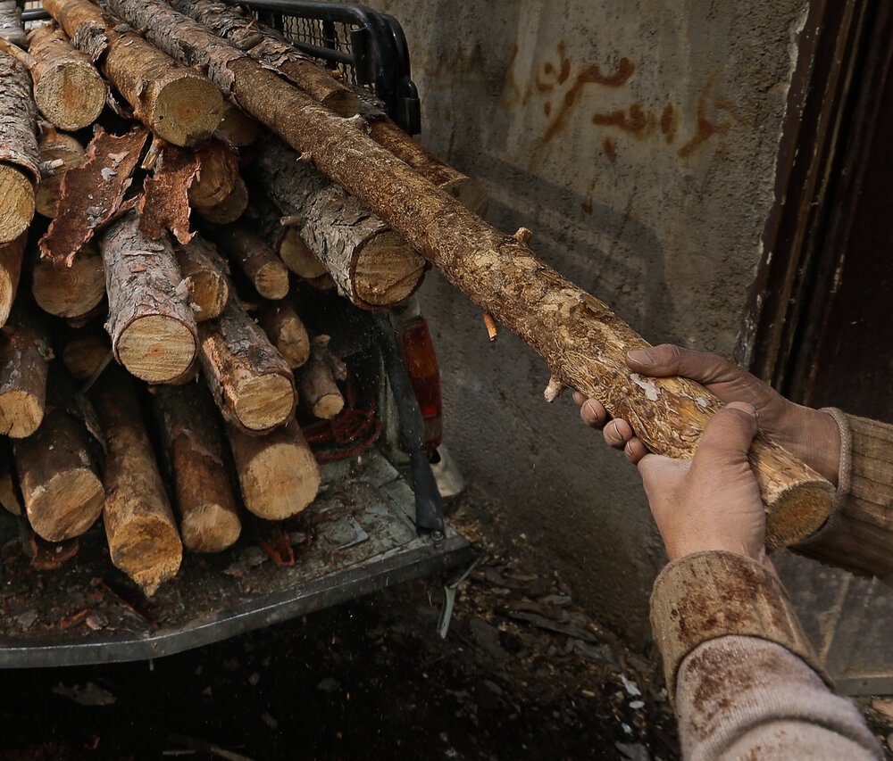 مسئولان چوب لای چرخ قاچاق چوب بگذارند