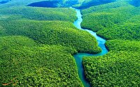 جنگل‌های آمازون تا سال ۲۰۵۰ به «نقطه شکست» می‌رسد