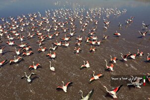 جلوه هایی از زیبایی دریاچه مهارلو شیراز