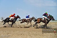درخشش اسب‌های خراسان شمالی در کورس ترکمن بندر ترکمن