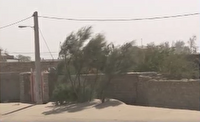 تداوم وزش باد شدید در شمال سیستان و بلوچستان