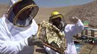 تولید چهار هزار تن عسل در لرستان