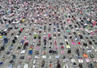 چیدن هزاران کفش کودک به یاد کودکان غزه در هلند