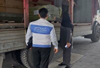 صادرات هشت هزار و ۵۰۰ کیلوگرم مکمل خوراک دام و طیور از طرقبه شاندیز به تاجیکستان