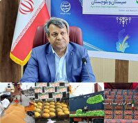 افزایش ۹ درصدی مبادلات مرزی محصولات کشاورزی از سیستان وبلوچستان