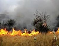 مهار آتش در مناطق شیاکوه و بان سیران گیلانغرب پس از ۱۷ ساعت تلاش بی وقفه
