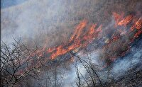 مهار ۳۵ آتش‌سوزی در عرصه‌های طبیعی