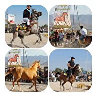 برگزاری همایش بزرگ سوارکاری و نمایش زیبایی‌های اسب در بروجن