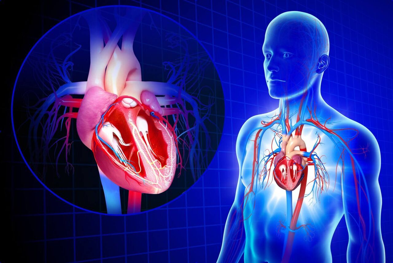 آموزش، مطمئن‌ترین راه پیشگیری از بیماری‌های قلبی است