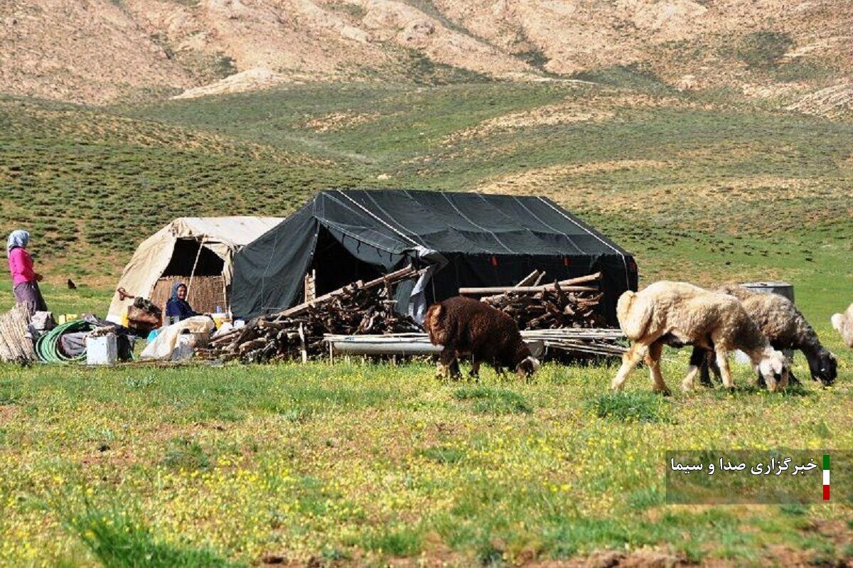 توزیع ۴۰ هزار تن جو و کنسانتره بین عشایر لرستان